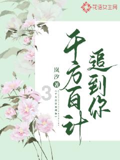 全民烧脑3去广告版