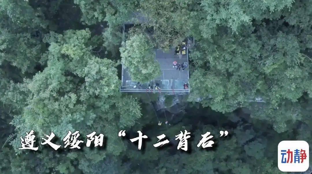 球球大作战下载最新版